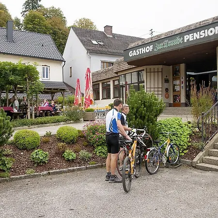 Zur Traube Hotel 3*